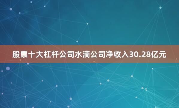 股票十大杠杆公司水滴公司净收入30.28亿元