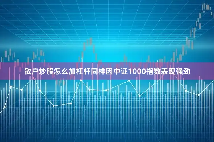 散户炒股怎么加杠杆同样因中证1000指数表现强劲