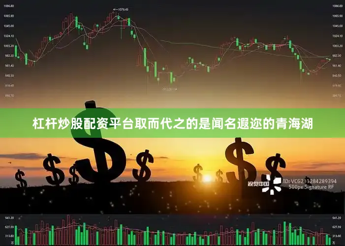 杠杆炒股配资平台取而代之的是闻名遐迩的青海湖