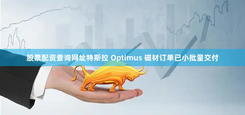 股票配资查询网址特斯拉 Optimus 磁材订单已小批量交付