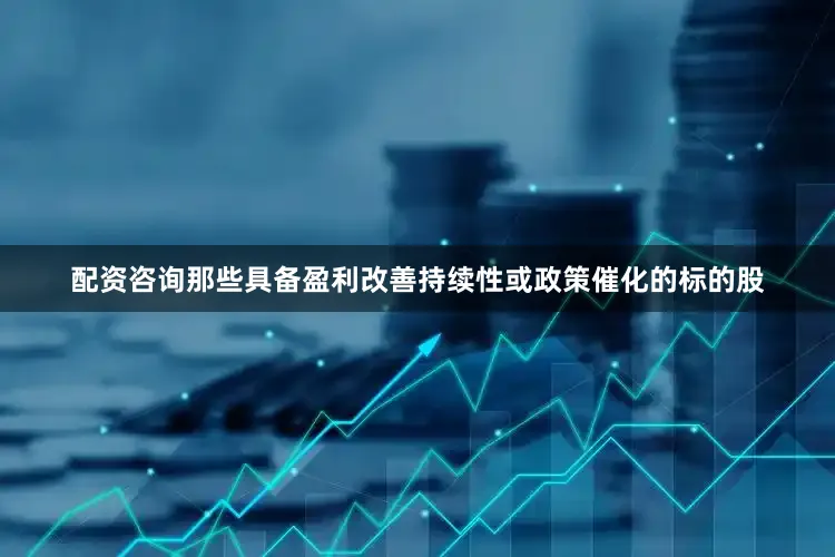 配资咨询那些具备盈利改善持续性或政策催化的标的股